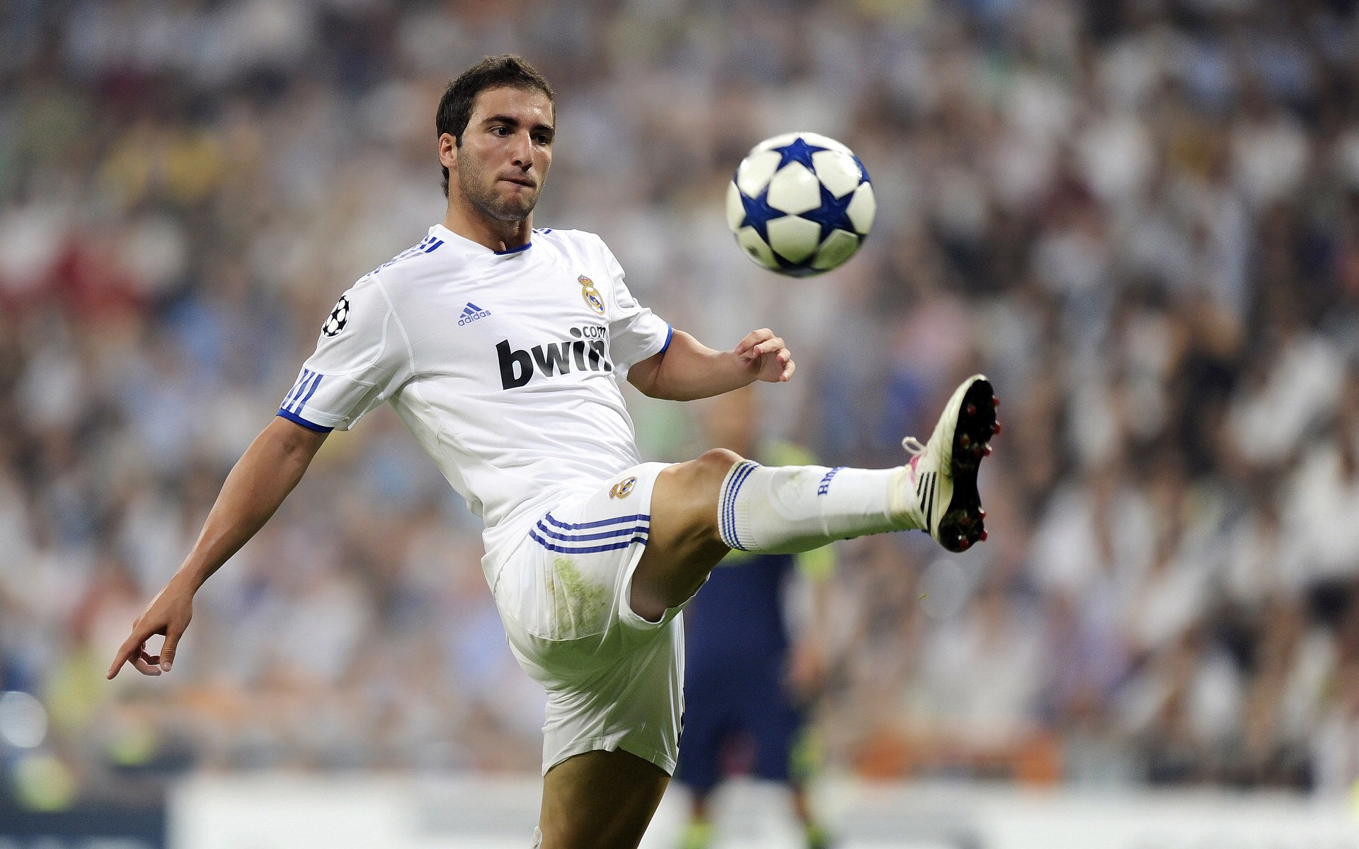 一支球队在国际比赛中闪耀登场，获得胜利，一个球队一支球队